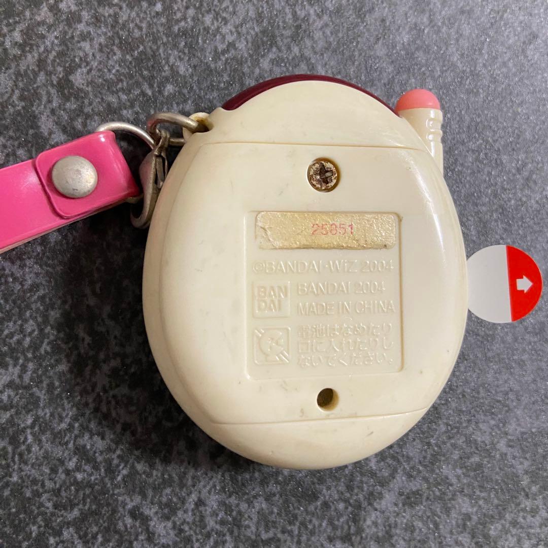 祝ケータイかいツー!たまごっちプラス : 育てる!遊ぶ!みんなのケーたま新聞