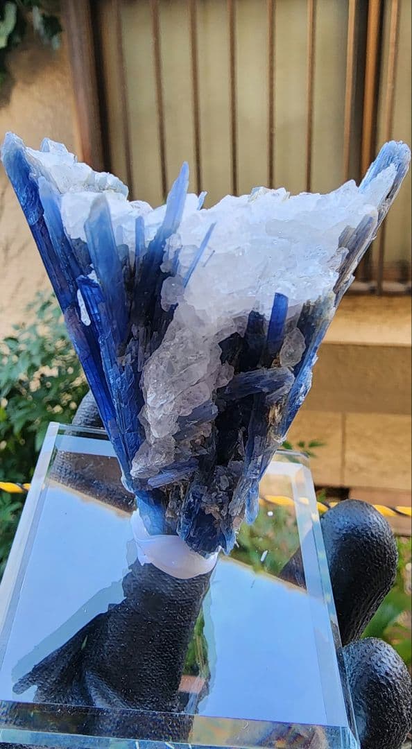 ブラジル・ミナスジェライス州産　極上ブルーカイヤナイト 原石 結晶　クォーツ共生