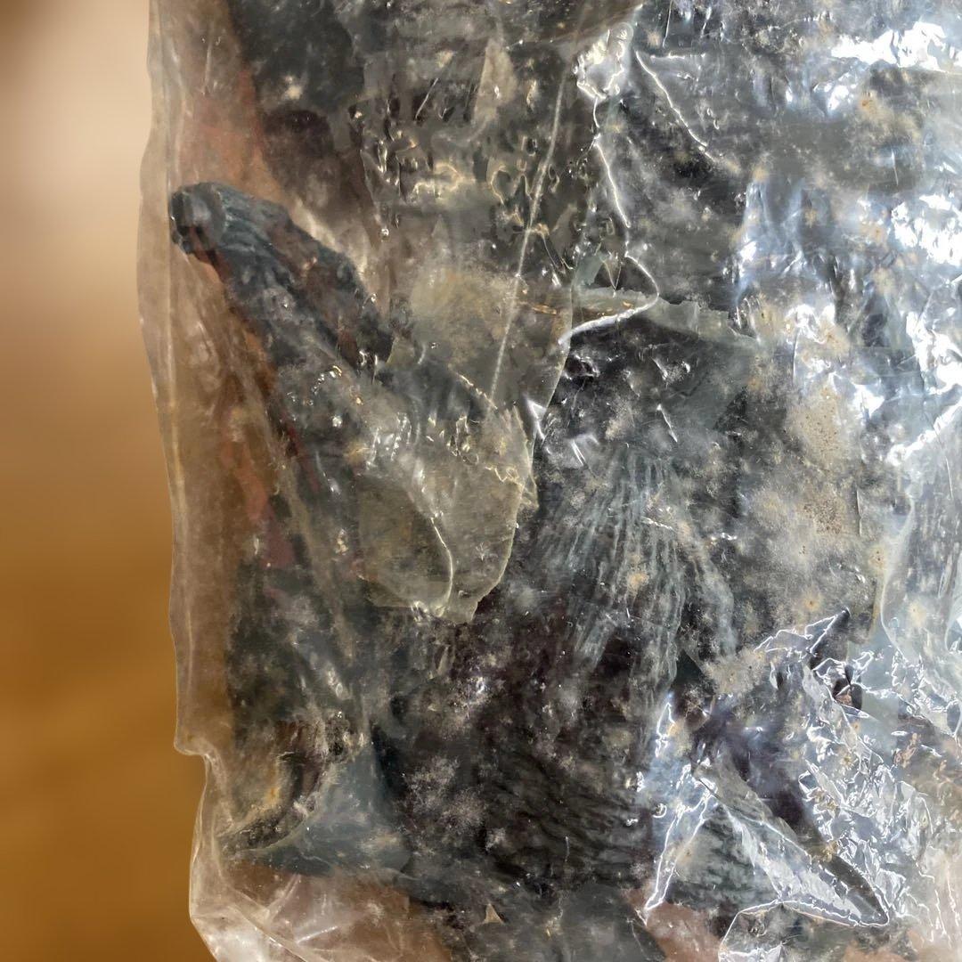 ⑬ゴジラ 2000年 ミレニアム 1/144☆原型製作　茨木彰