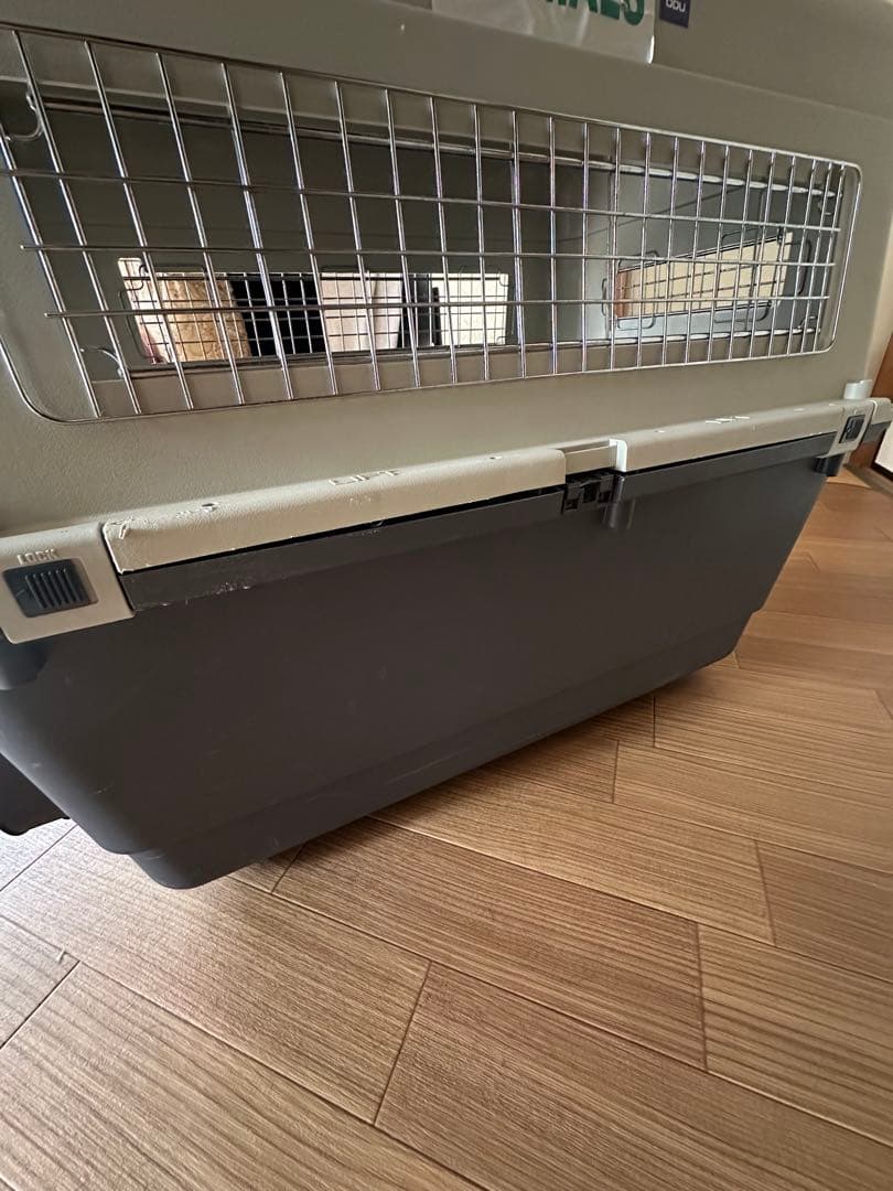 バリケンネル　Lサイズ　大型犬　【千葉市】引き取り希望