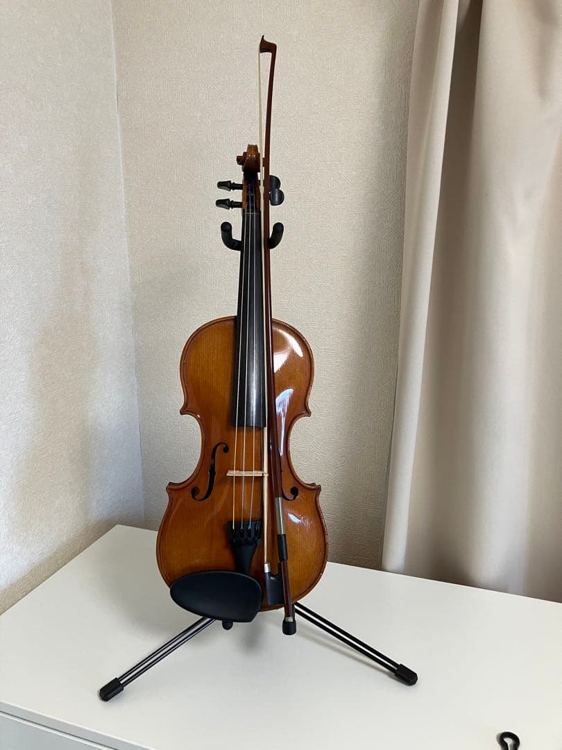 カールヘフナー　4/4 バーズアイ(鳥目杢)