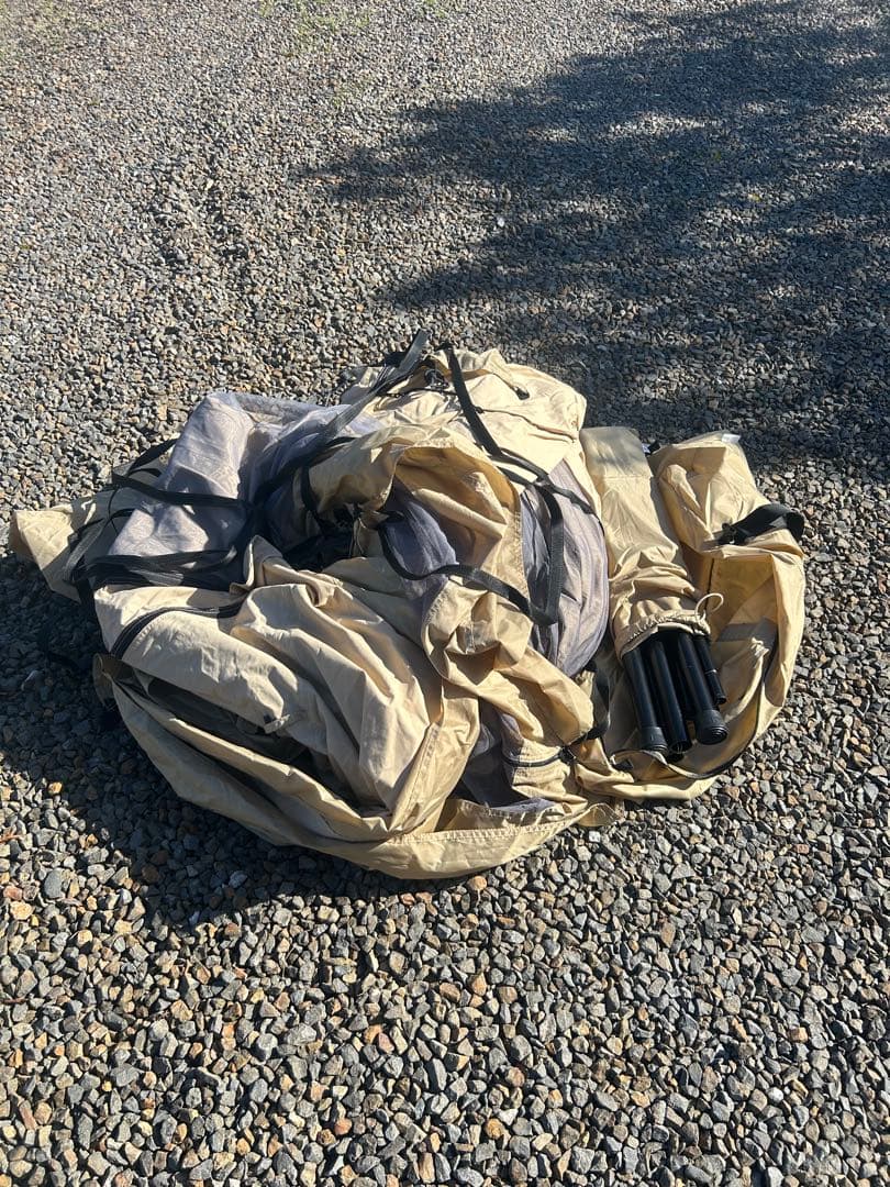 ✨shintaro3696✨さん専用 モーニンググローリーtc