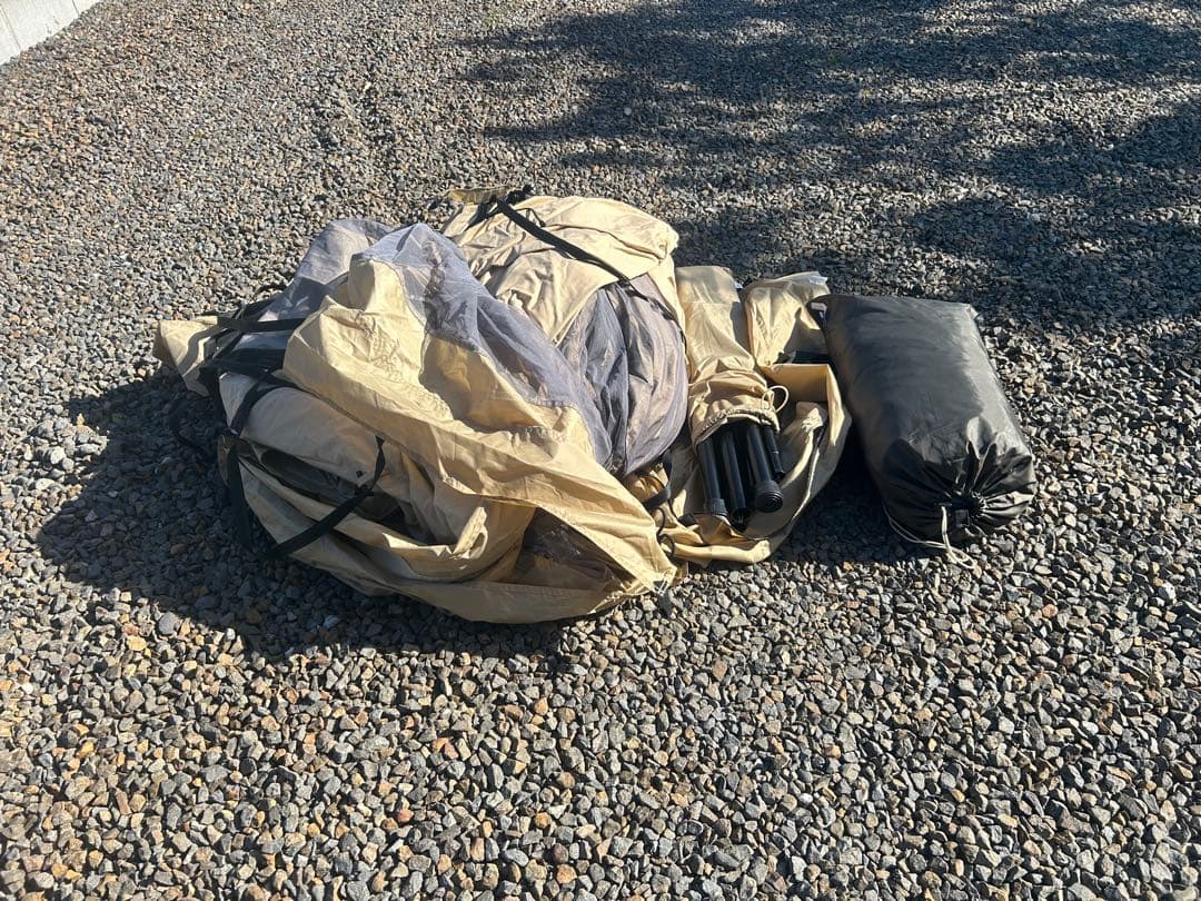 ✨shintaro3696✨さん専用 モーニンググローリーtc