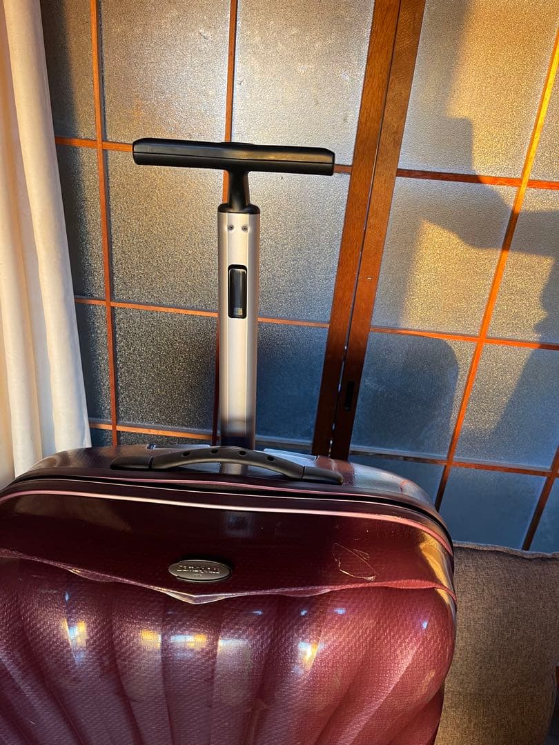 サムソナイト コスモライト トラベルバッグ/ハンドバッグ