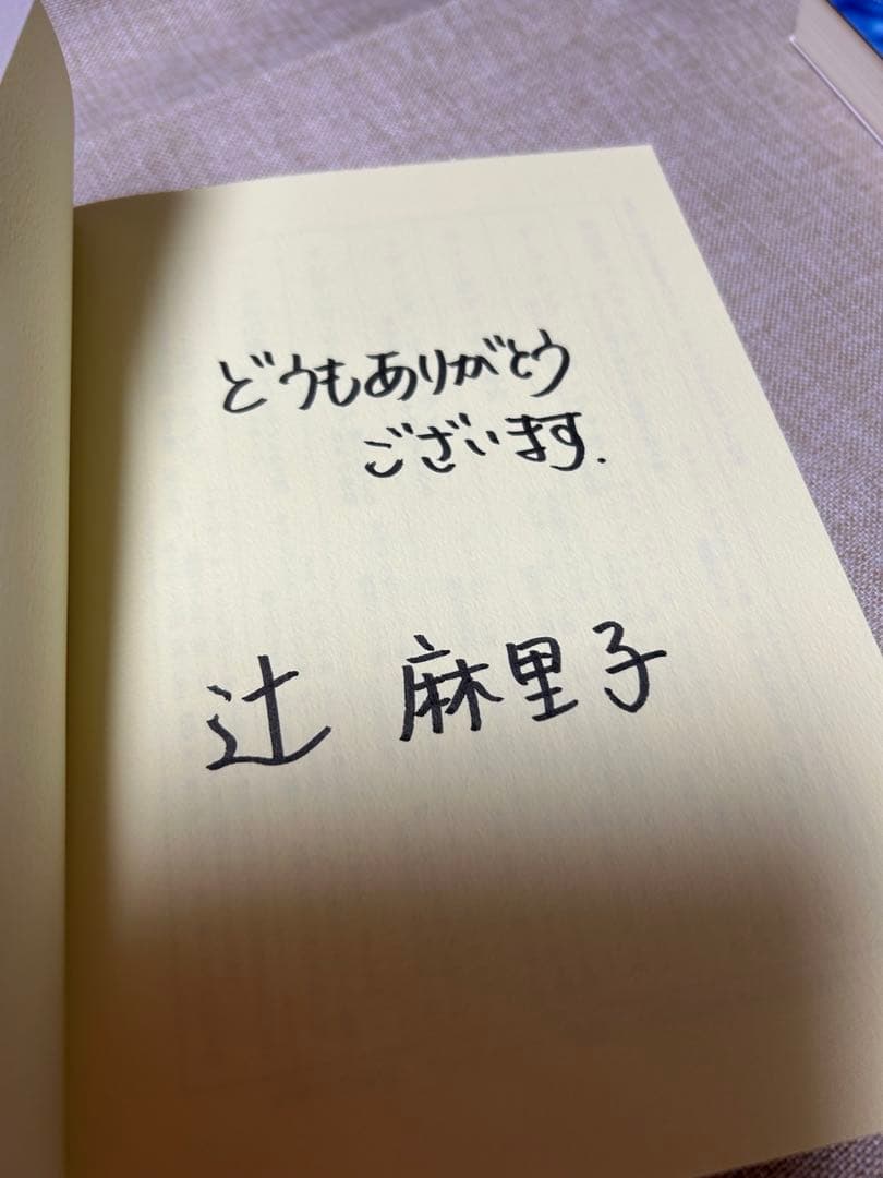 レア本『太陽の国へ 22を超えてゆけⅡ』辻麻里子　 サイン入り‼️コレクション本‼️