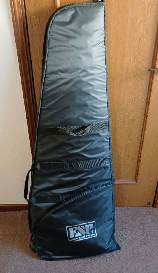 （今週末まで）EdwardsフライングV　E-FV-120D