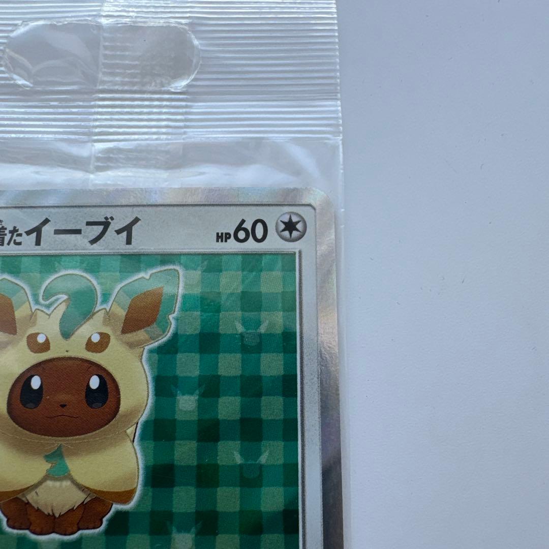 ポンチョを着たイーブイ（リーフィア） プロモ　未開封 ポケモンカード