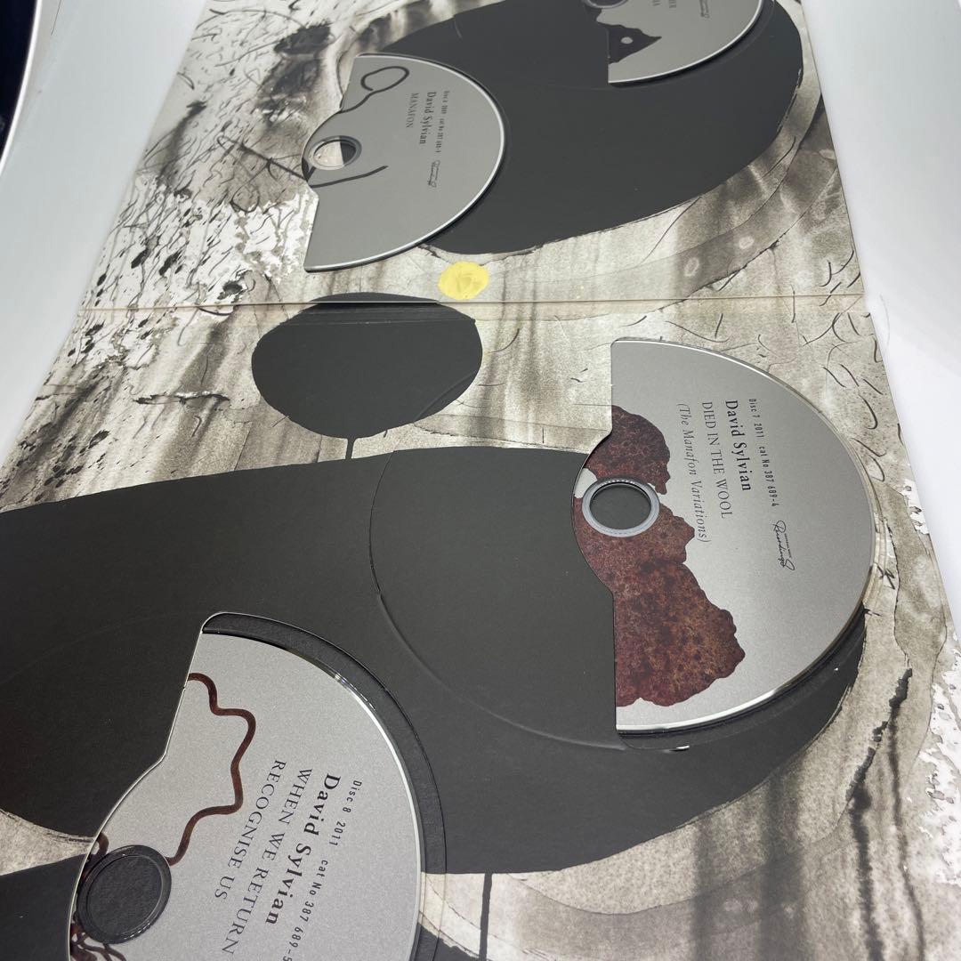 Do You Know Me Now? (修正盤付) David Sylvian