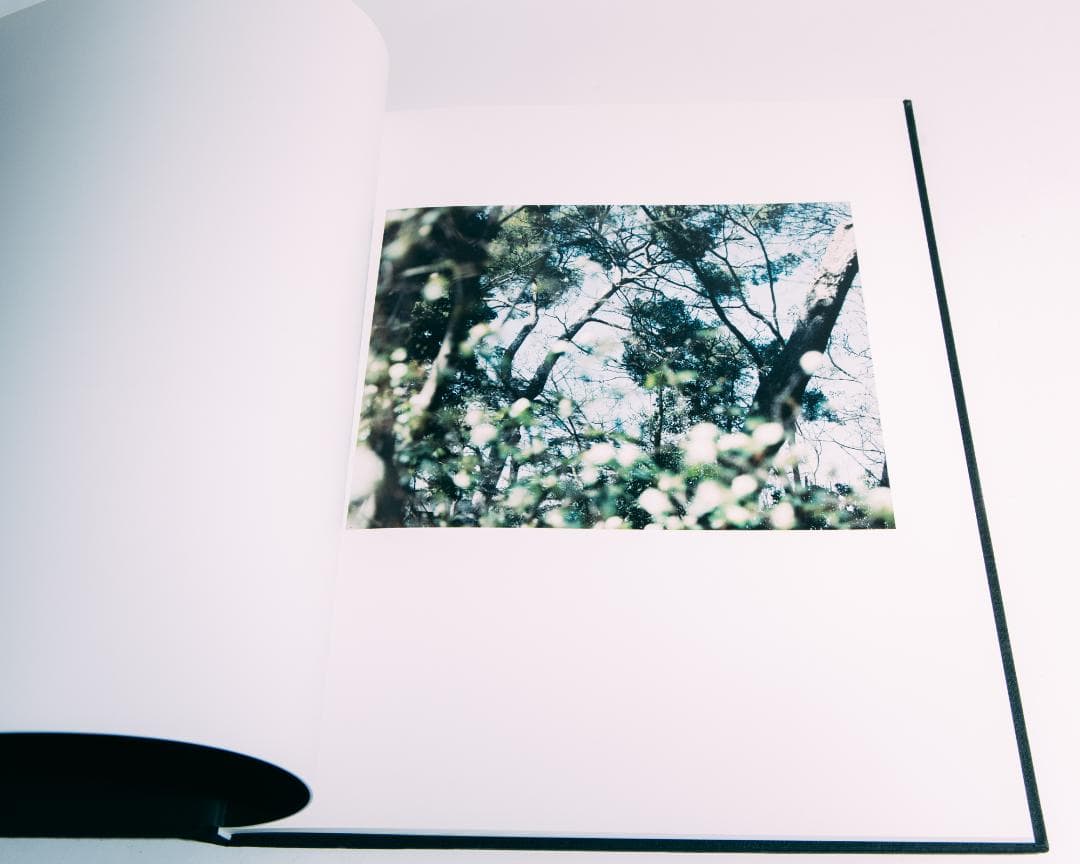 鈴木理策 Atelier of Cézanne