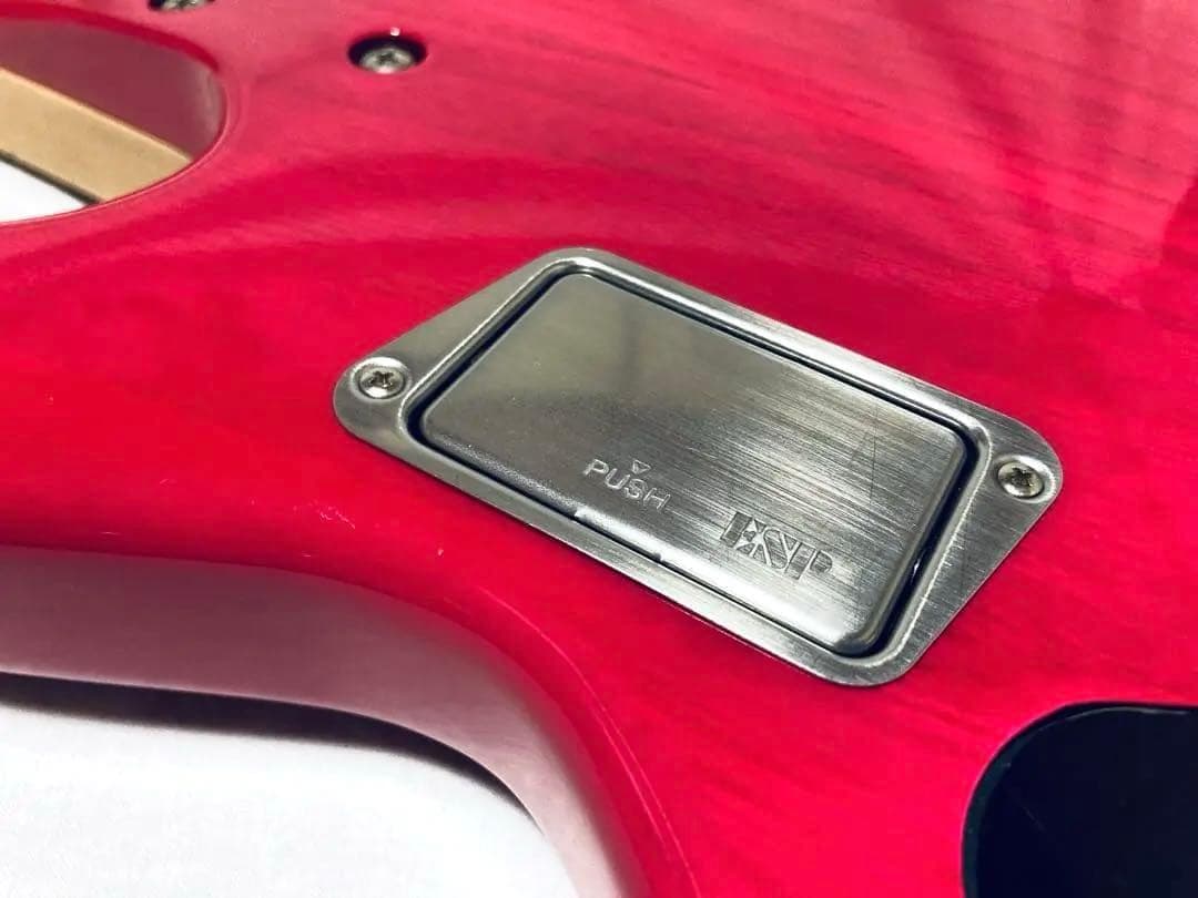 新品同等 完備品 Edwards E-T-170BD ピンク ラルク テツヤ