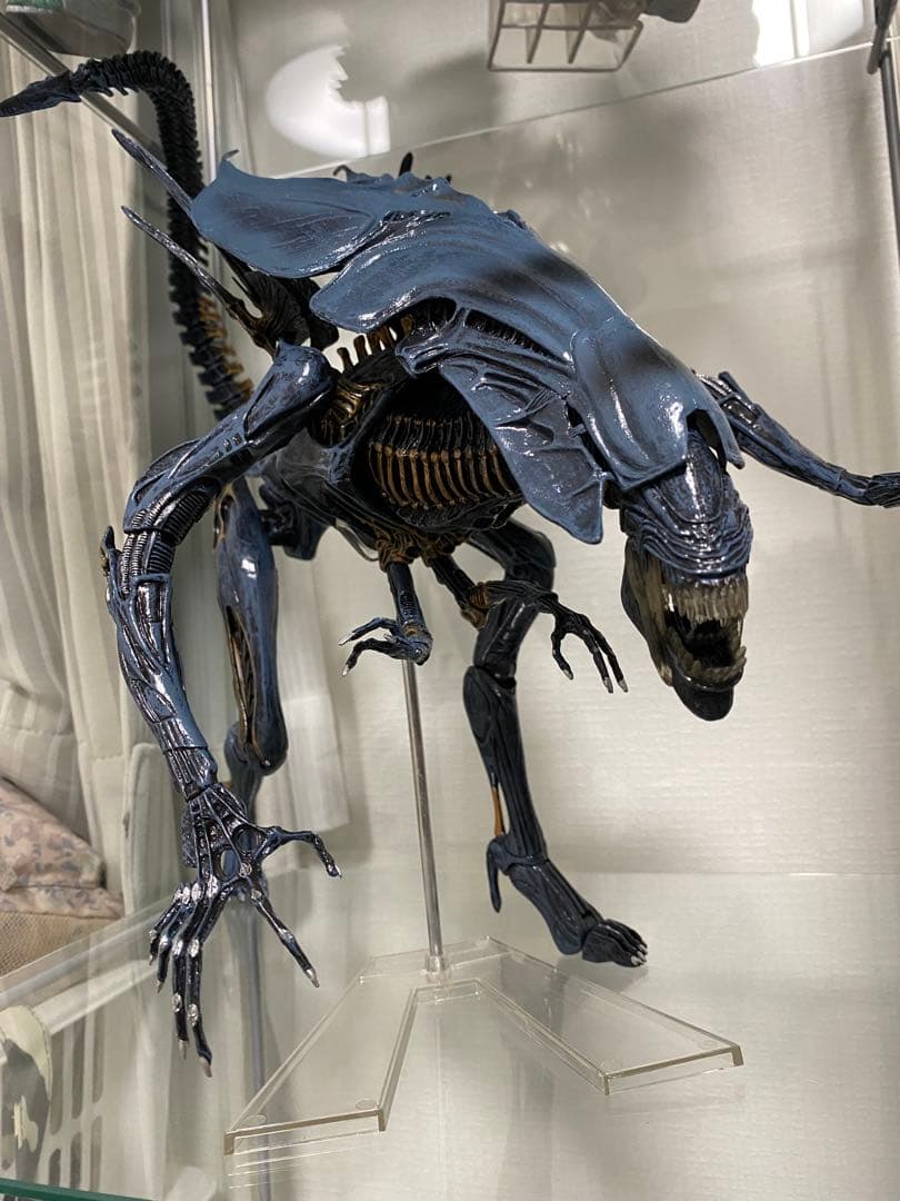 NECA ネカ クイーンエイリアン AVP プレデター