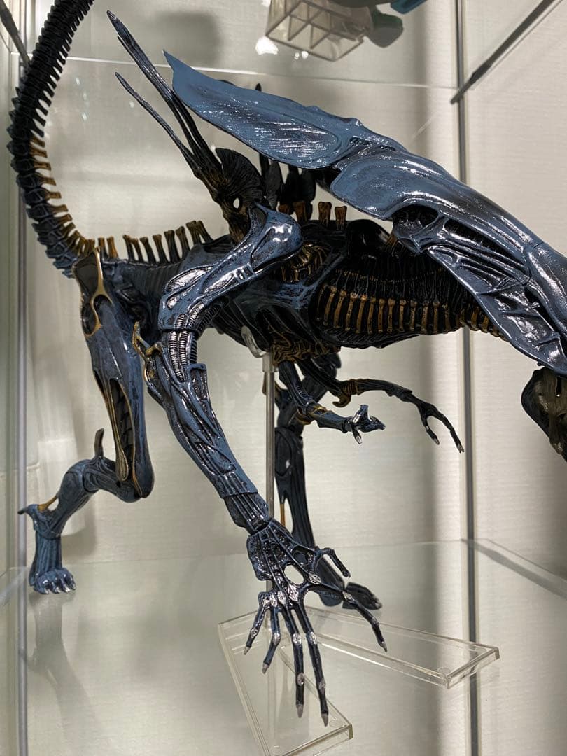 NECA ネカ クイーンエイリアン AVP プレデター