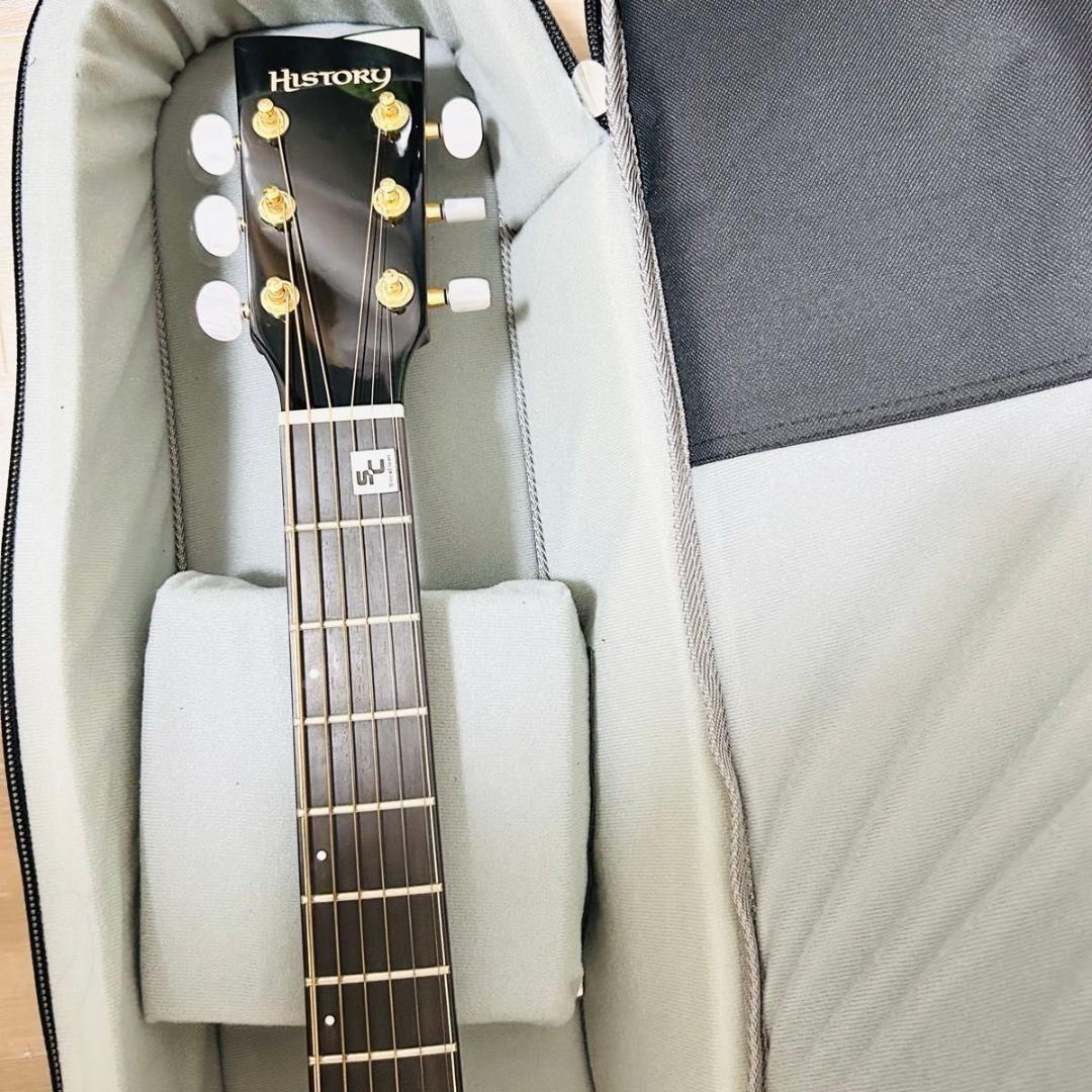 HISTORY NT-301/CA あいみょん使用モデル復刻 エレアコ