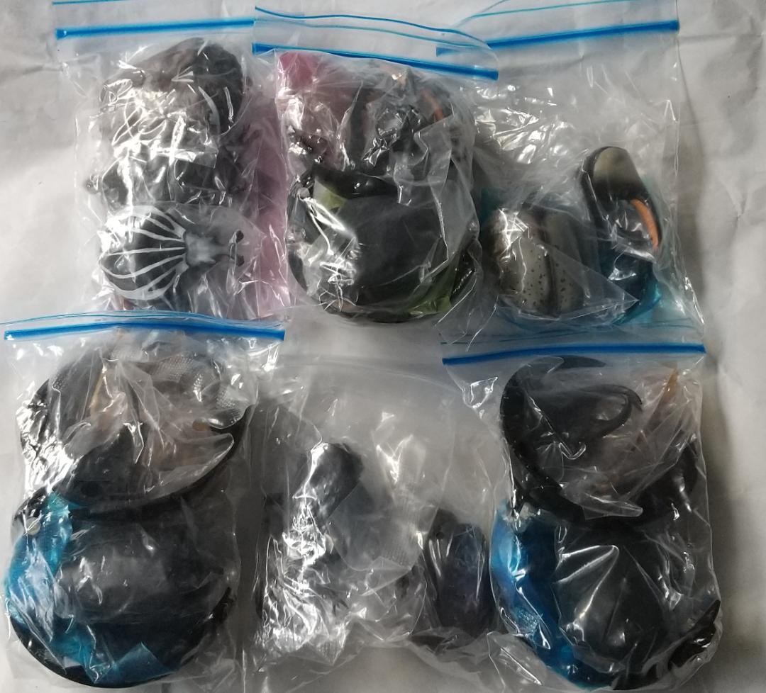 ガシャポン　いきもの大図鑑　かぶとむし ミツオビアルマジロ　セット