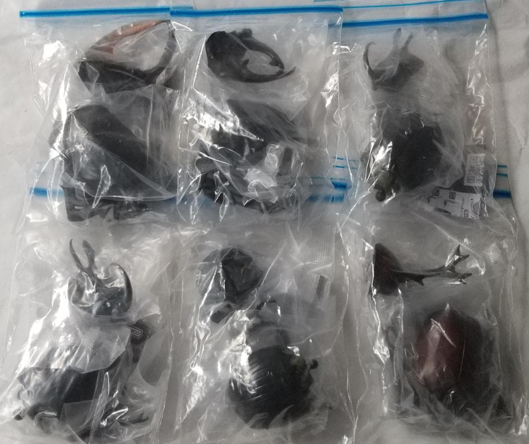 ガシャポン　いきもの大図鑑　かぶとむし ミツオビアルマジロ　セット