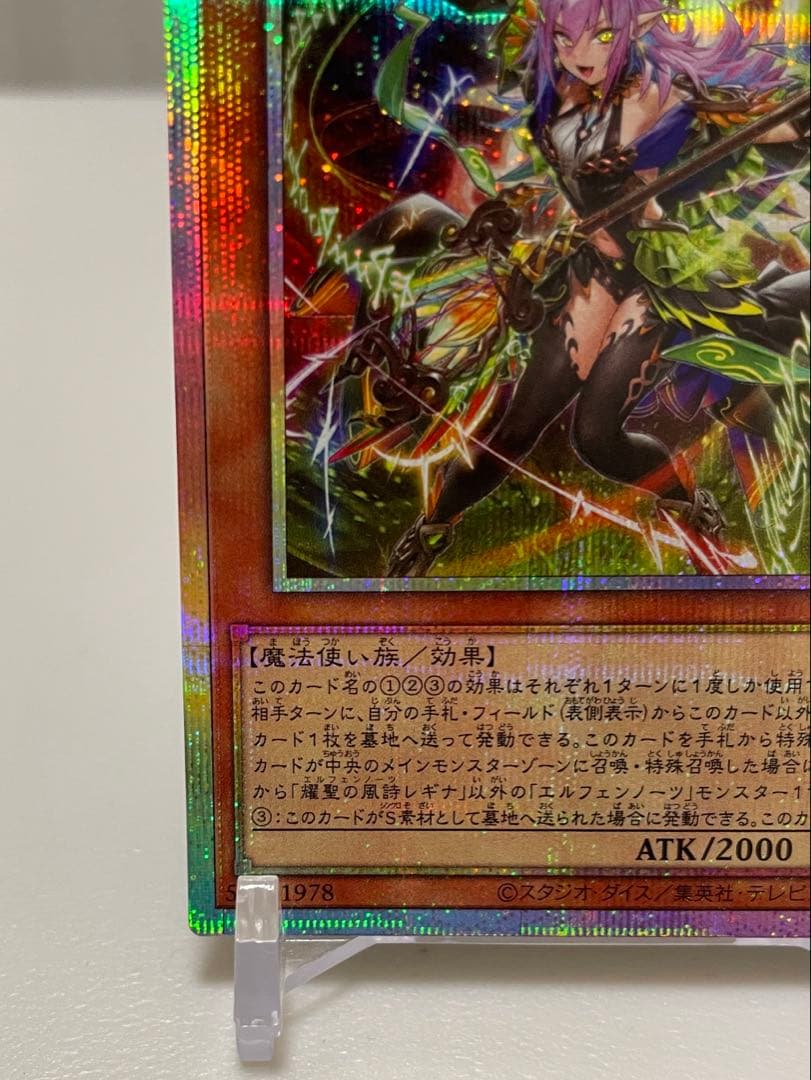 【最安値】エルフェンノーツ　レギナ　プリシク