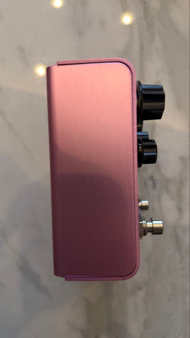 【特価】Strymon DIG v1