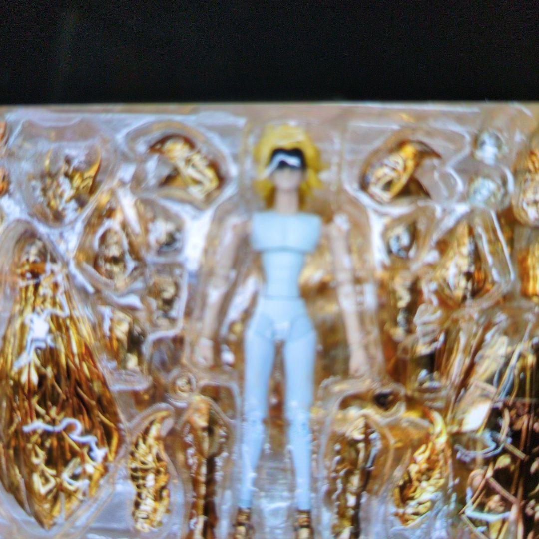 聖闘士聖衣神話EX.13番目の黄金戦闘士。