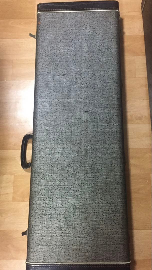 フェルナンデスギター