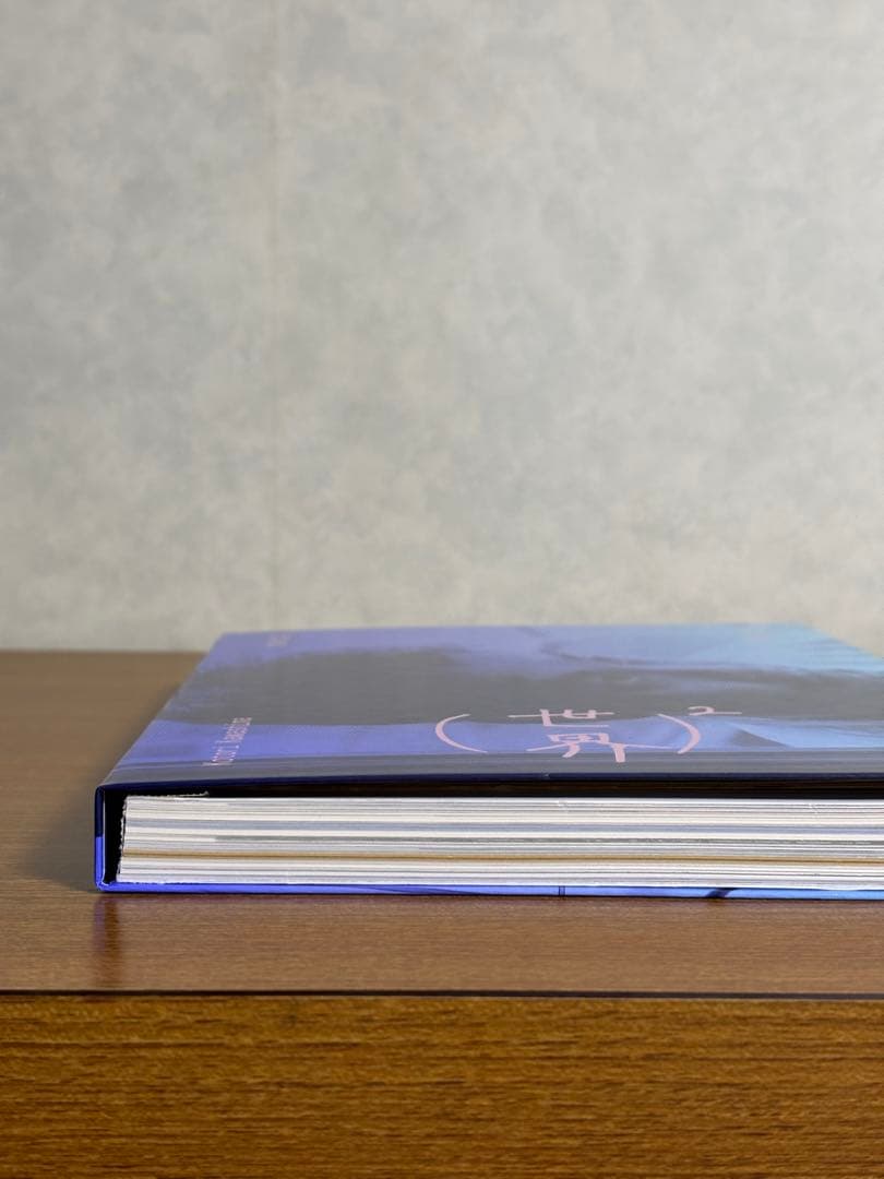 【美品】ポストカード他3点付き 「(世界)2 」 仲野太賀 川島小鳥 写真集