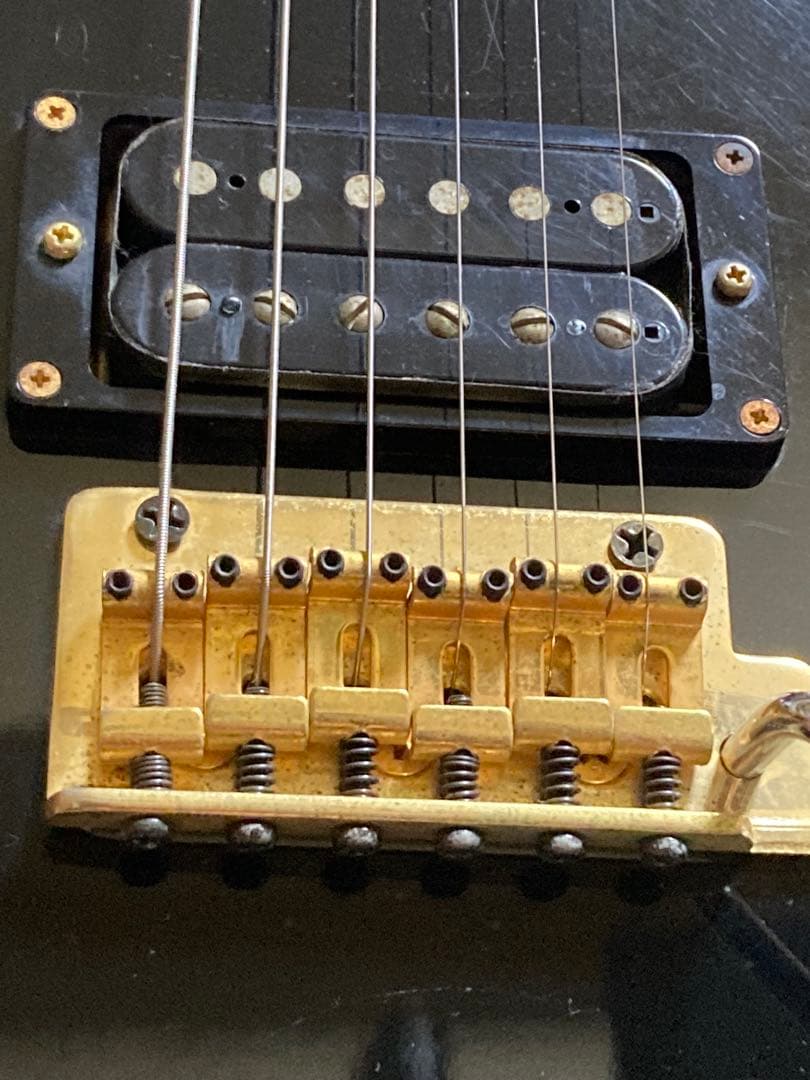 ギター Fernandes TEJ-55G