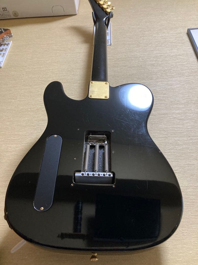 ギター Fernandes TEJ-55G