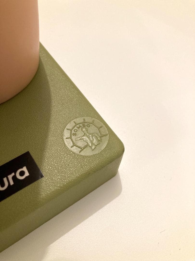 ドイツ ソムソ社製 SOMSO 人体解剖模型