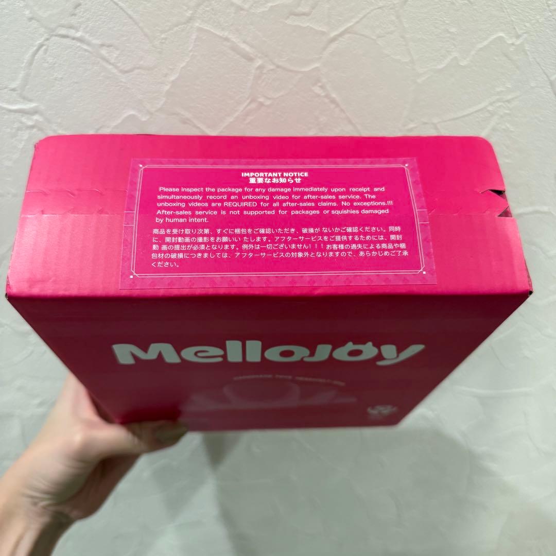 メロジョイバレンタイン限定　タイセツ　完全未開封