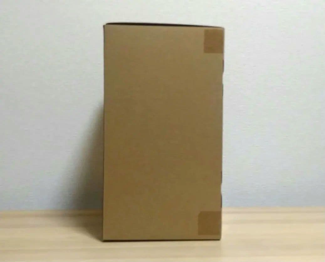 東宝大怪獣シリーズ ゴジラ GODZILLA(2021) 少年リック限定版