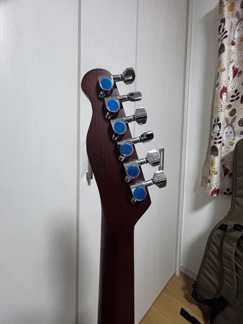 【値下げOK、説明欄要確認】BUSKER'S テレキャスタータイプ エレキギター