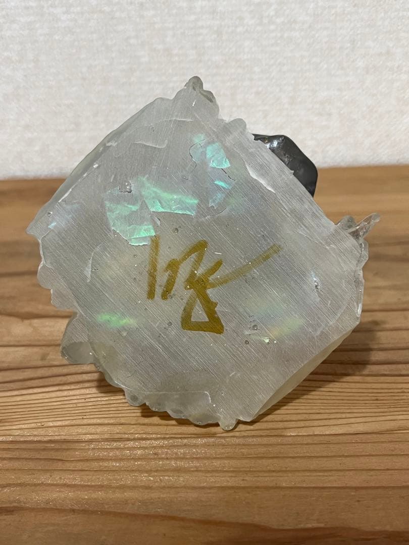 X ray プレデター フィギュア　クリア　蓄光