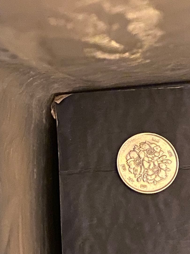 開封未使用品 COOLPROPS ネギガンテ カプコン フィギュア