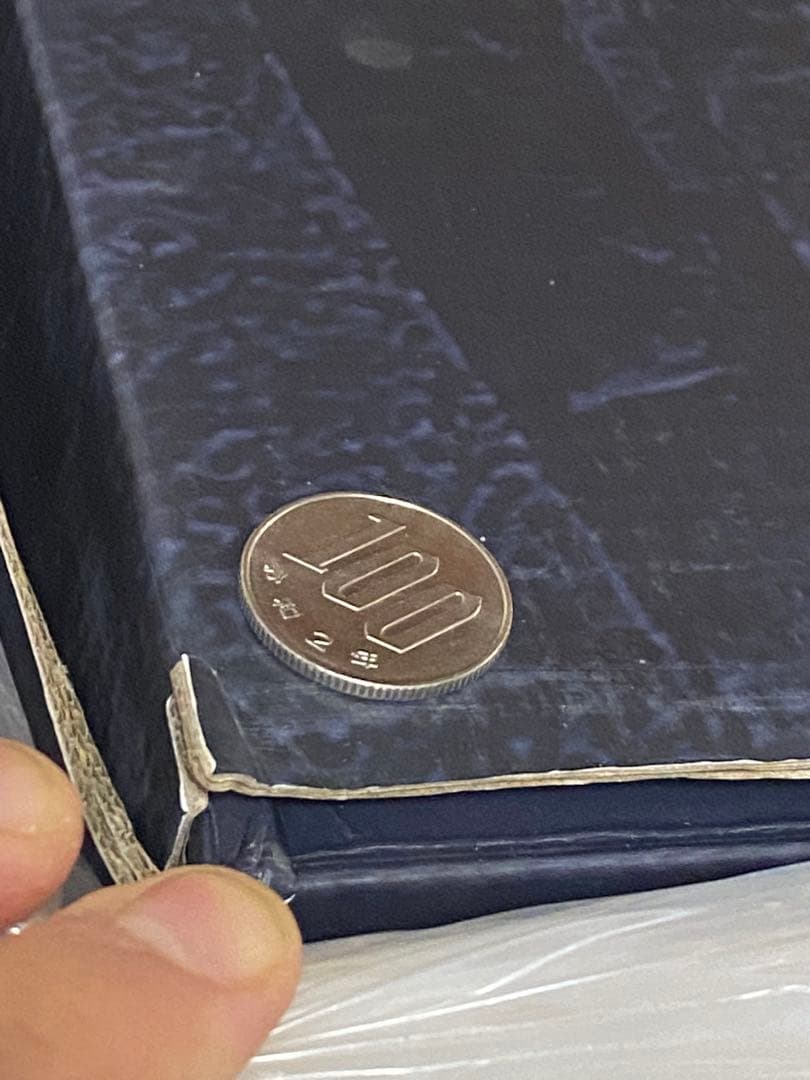 開封未使用品 COOLPROPS ネギガンテ カプコン フィギュア