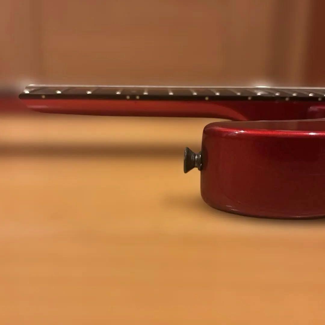 金ロゴ FERNANDES FR-55 アクティブ トレモロアーム・ケース付