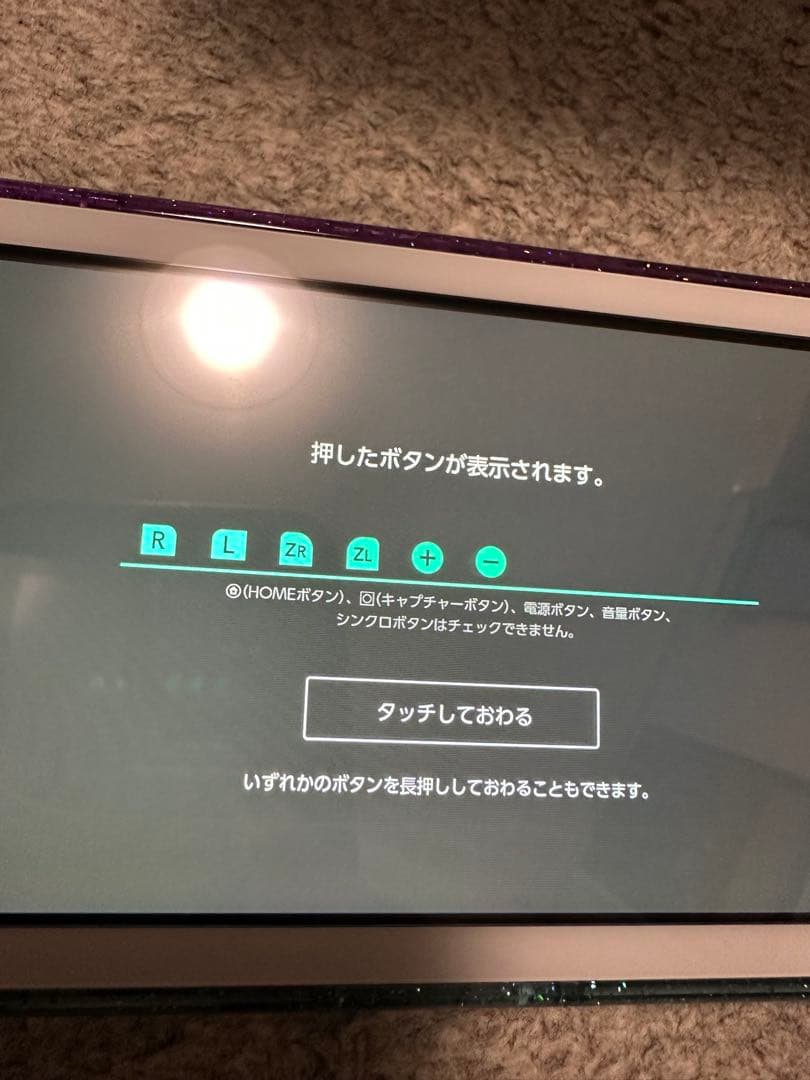 Nintendo Switch Lite 外装カスタム