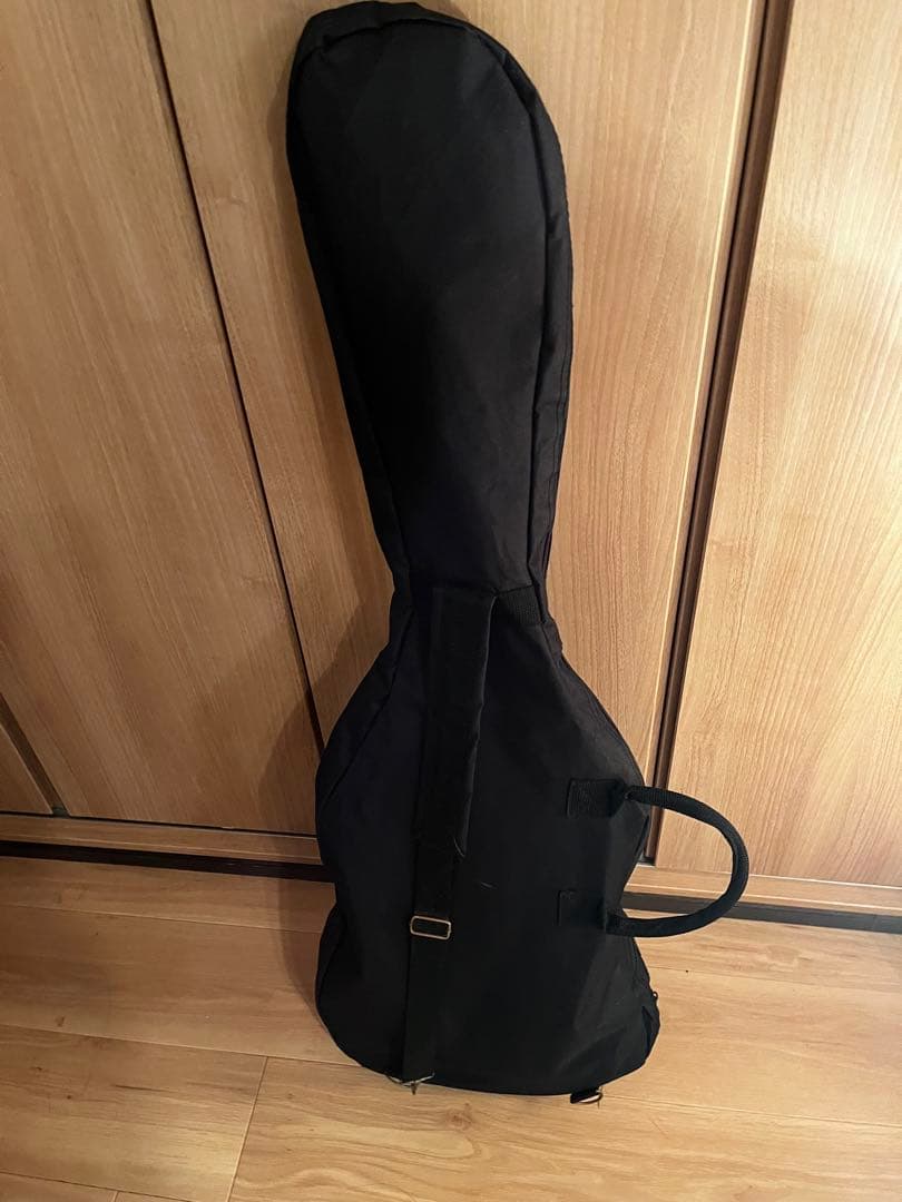 FERNANDES エレキギター 黒 SSH トレモロアーム付 ケース付