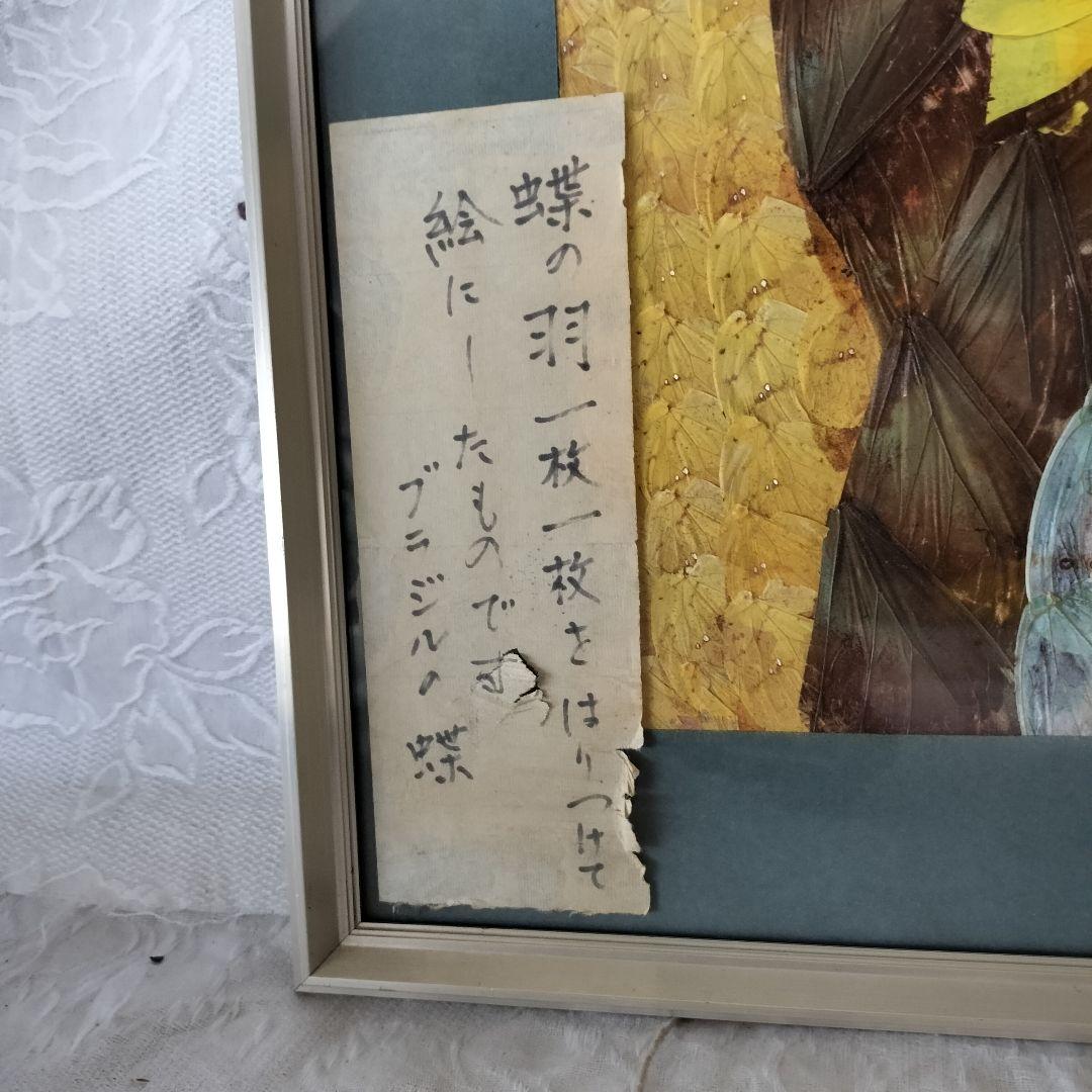 希少　蝶々の羽根を貼り合わせた作品　ブラジル