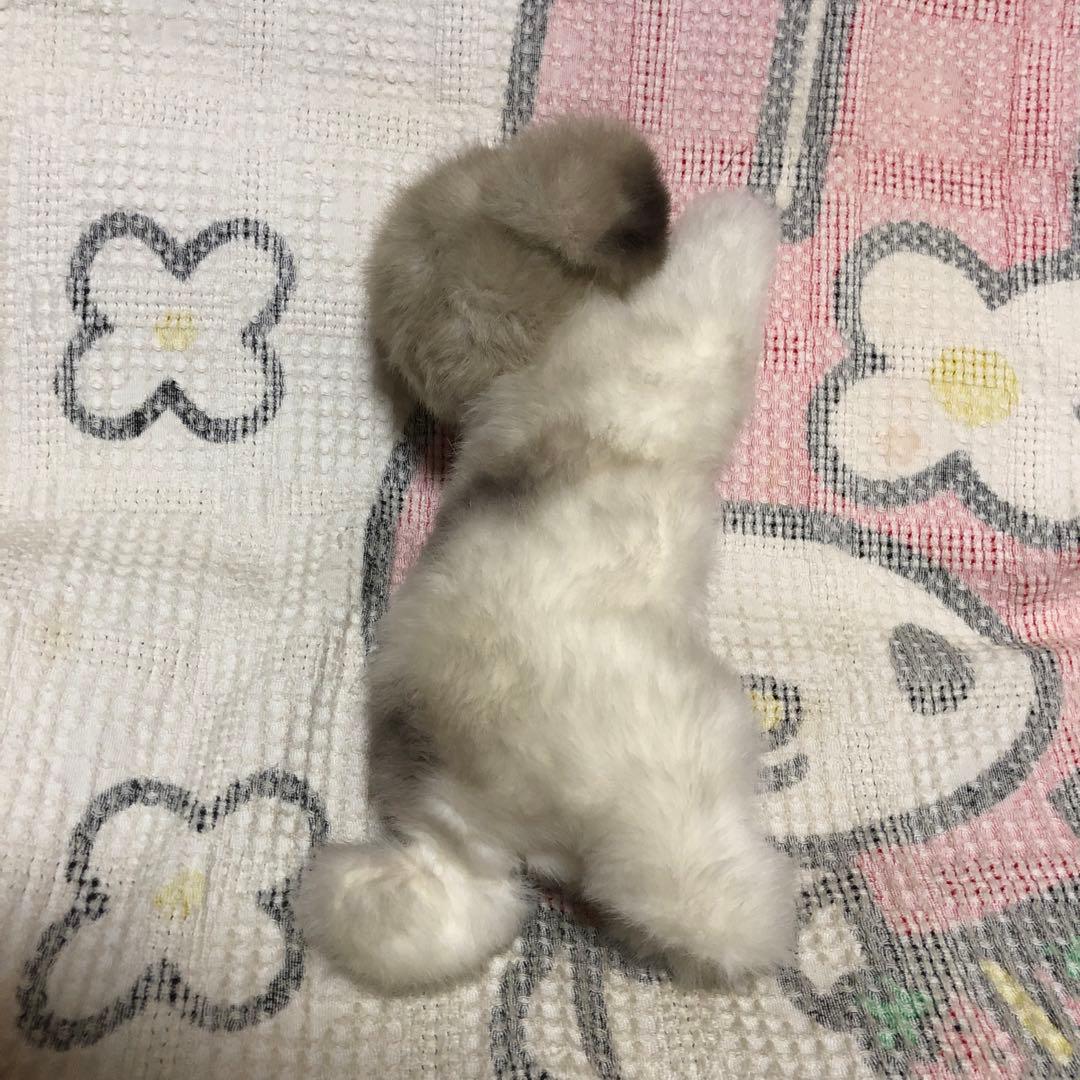 四季オリジナル　ぬいぐるみ　シーズー　犬　中古品　寝そべりポーズ