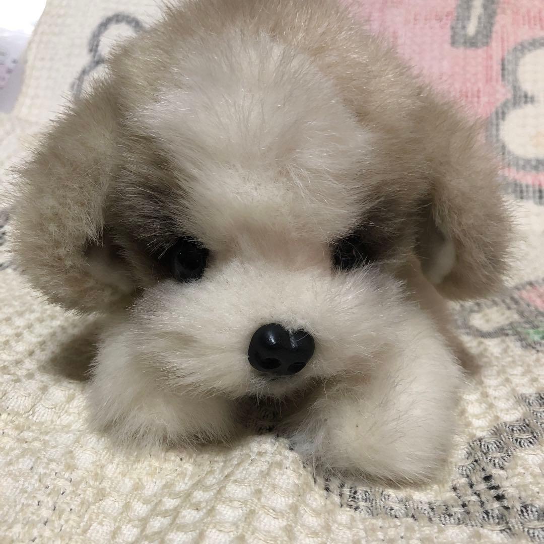 四季オリジナル　ぬいぐるみ　シーズー　犬　中古品　寝そべりポーズ