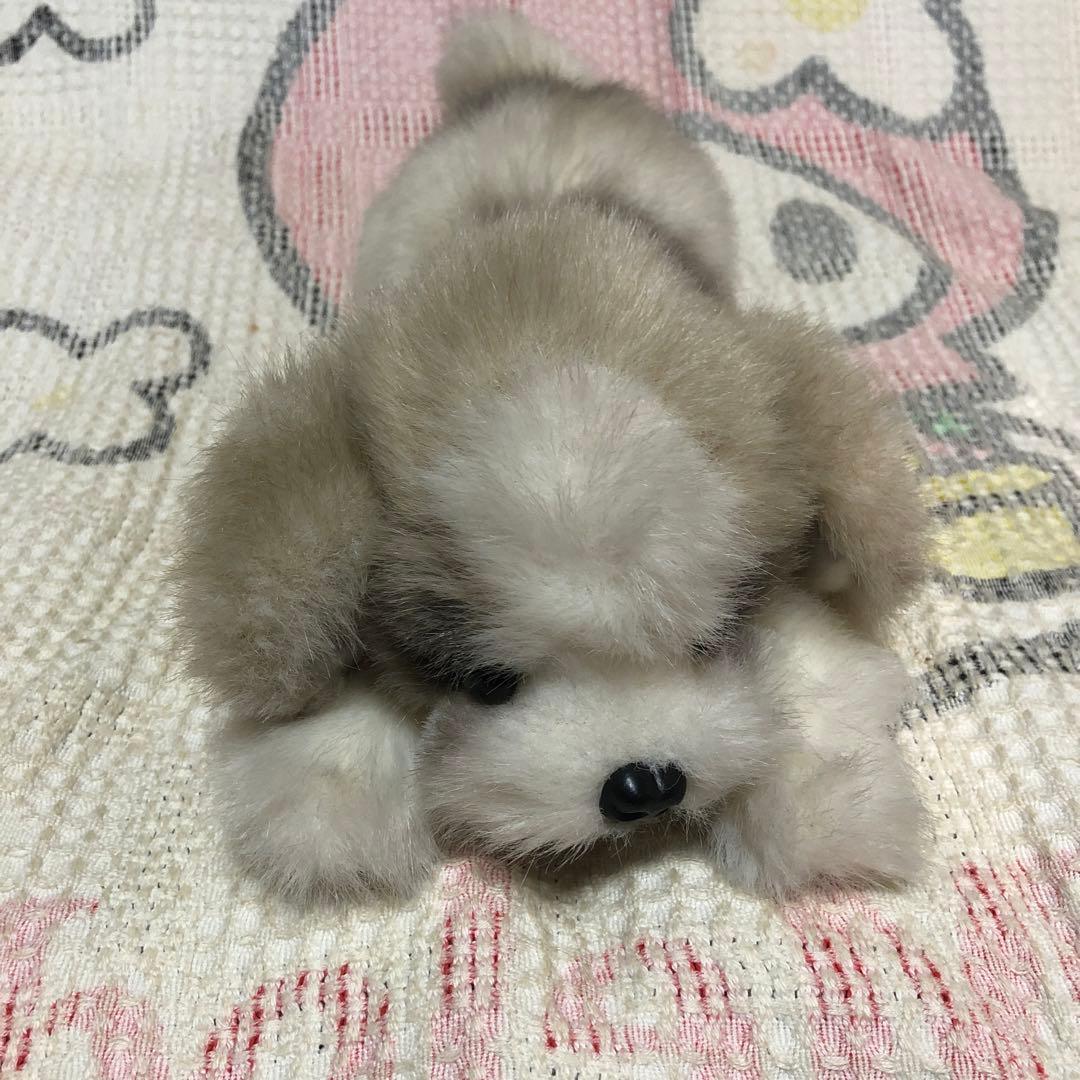 四季オリジナル　ぬいぐるみ　シーズー　犬　中古品　寝そべりポーズ