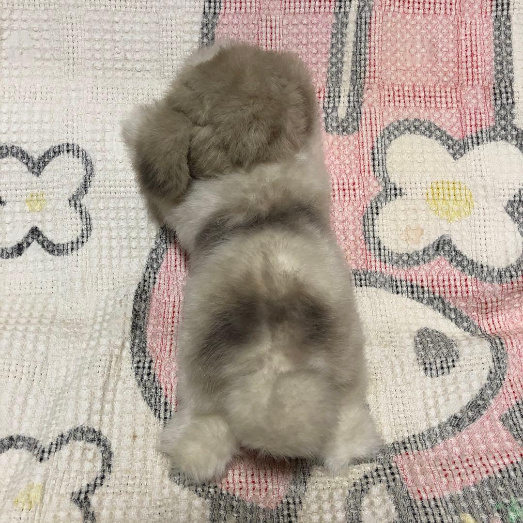 四季オリジナル　ぬいぐるみ　シーズー　犬　中古品　寝そべりポーズ