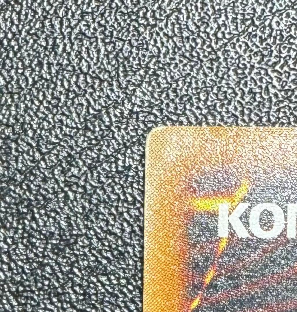 【親知らず】レッドアイズブラックドラゴン/真紅眼の黒竜/遊戯王/レリーフ/希少