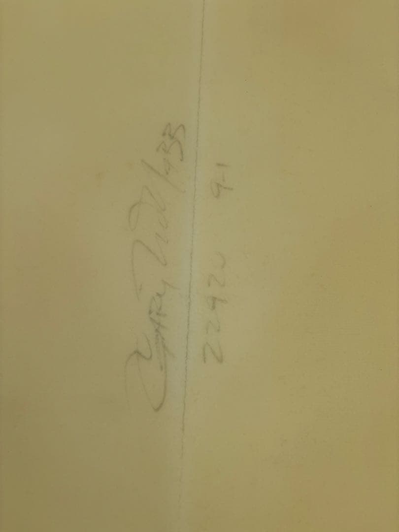 ネクター　サーフボード　EPS 9’1 シモンズ