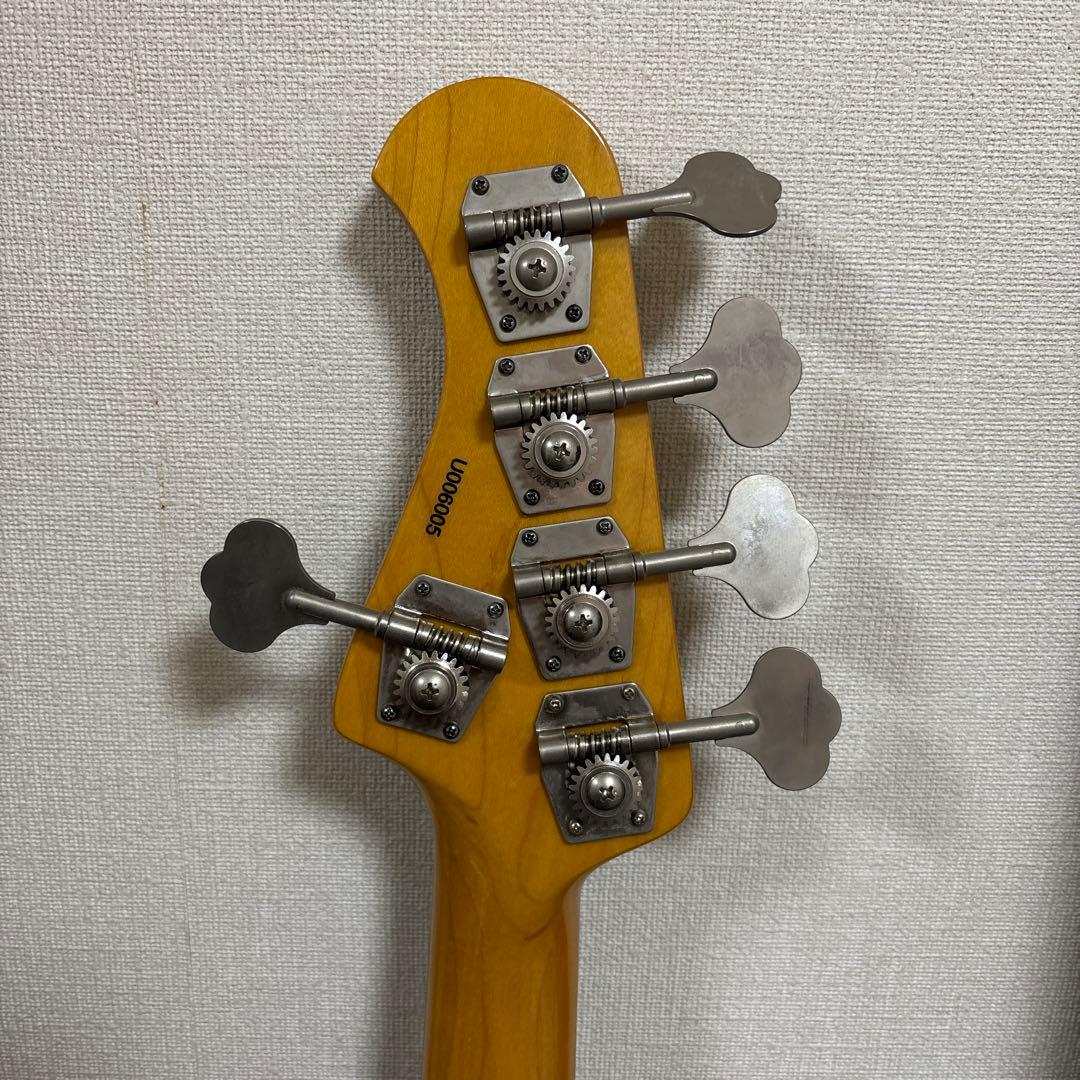 Bacchus Universe Series 5弦ベース WJB5系　ケース付