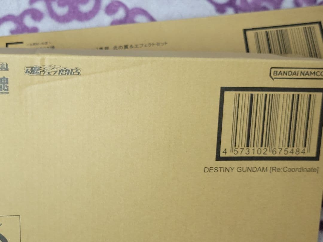 L ROBOT魂 デスティニー&光の翼セット Re:Coordinate