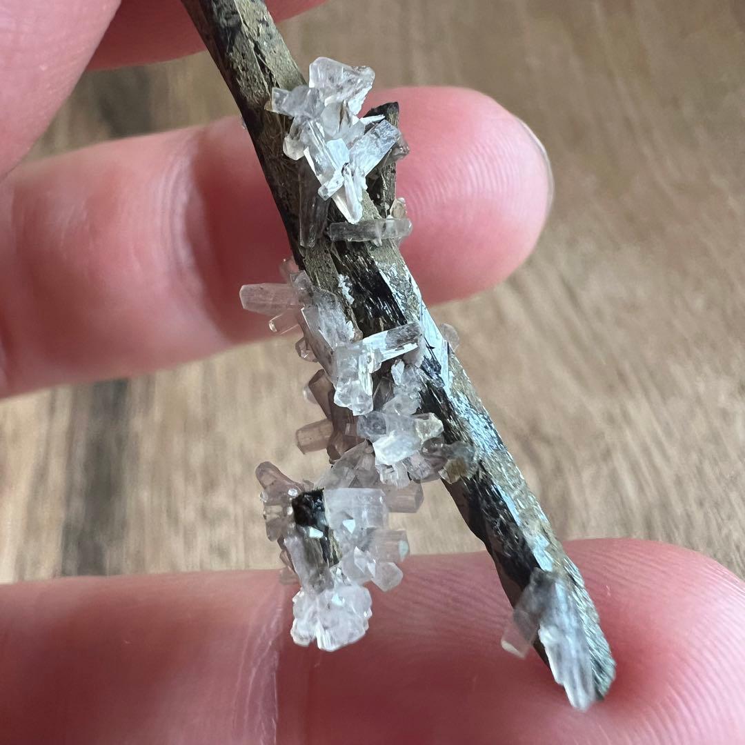 エジリン輝石 ナトロライト 41 共生 鉱物 標本 原石