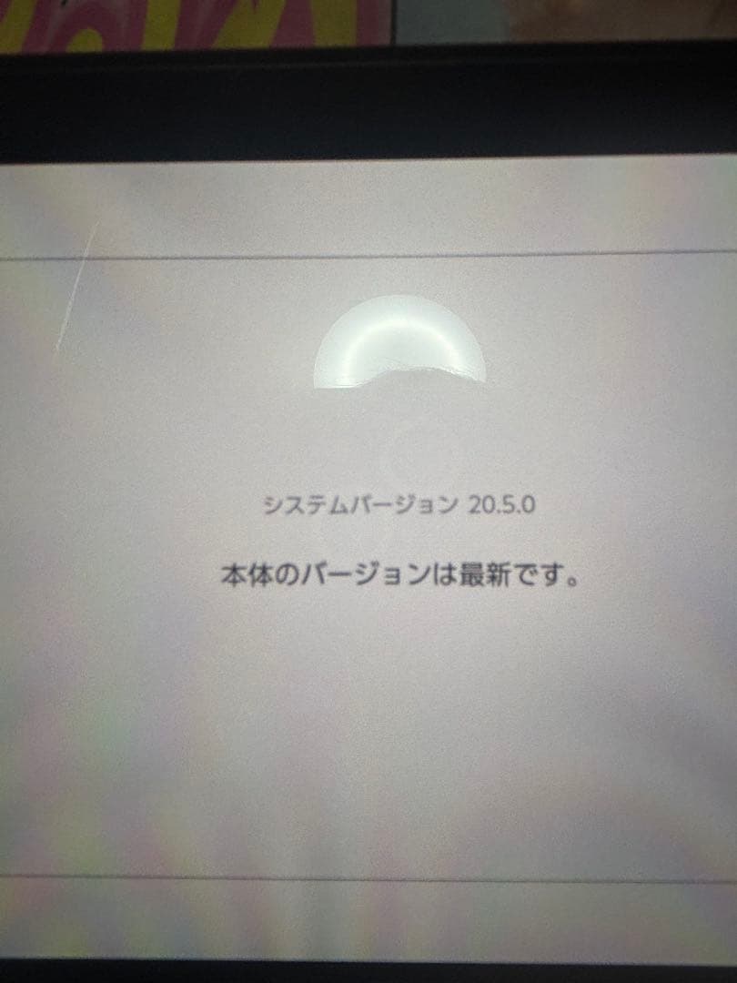 Nintendo Switch 任天堂　スイッチ　画面焼け