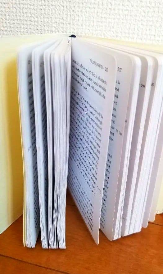 【稀少✨】HOLY WORDS GOSEIGEN 御聖言 英語版 崇教真光