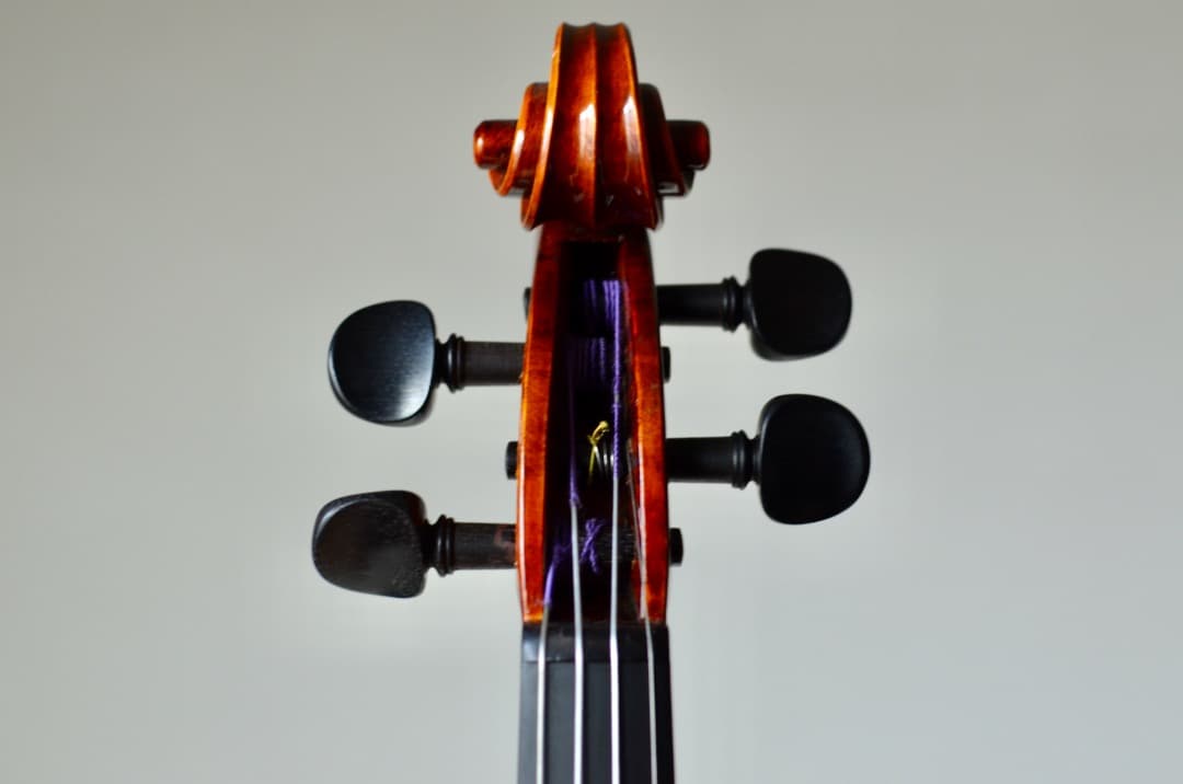 【銘器】R.Paesold No.804A バイオリン 4/4