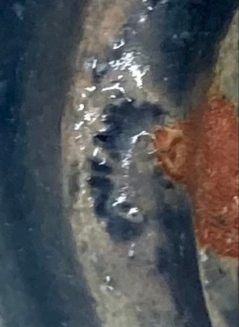 B245s 「萩焼　ぐい呑」平野教道作　共布共箱　塔陶山　酒器　茶道具